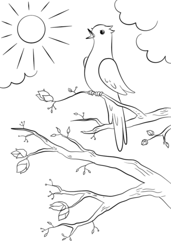 Spring bird coloring page free printable coloring pages