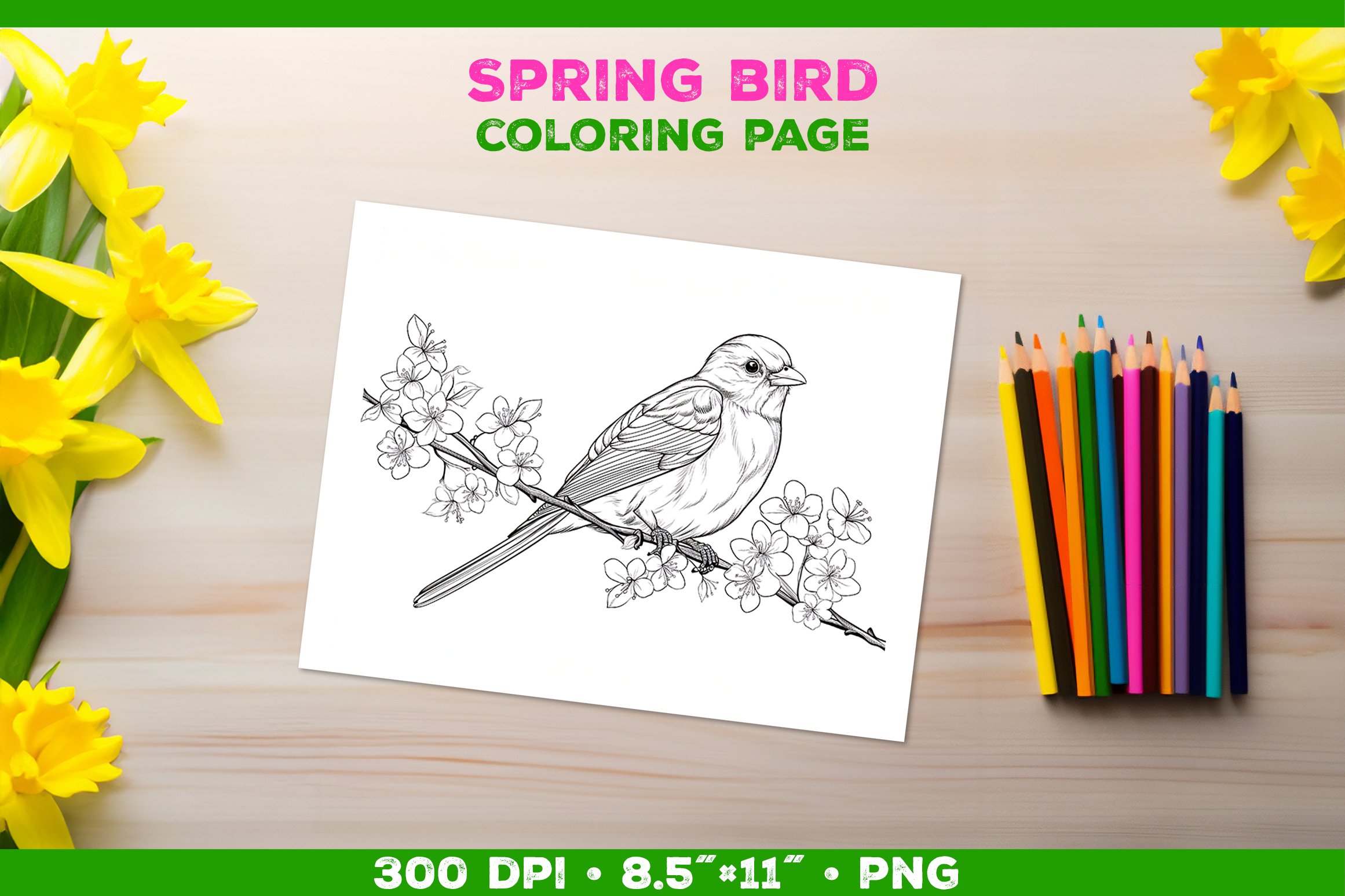 Kids simple coloring book page with bird in