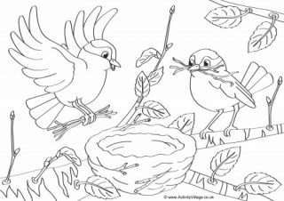 Spring birds louring page