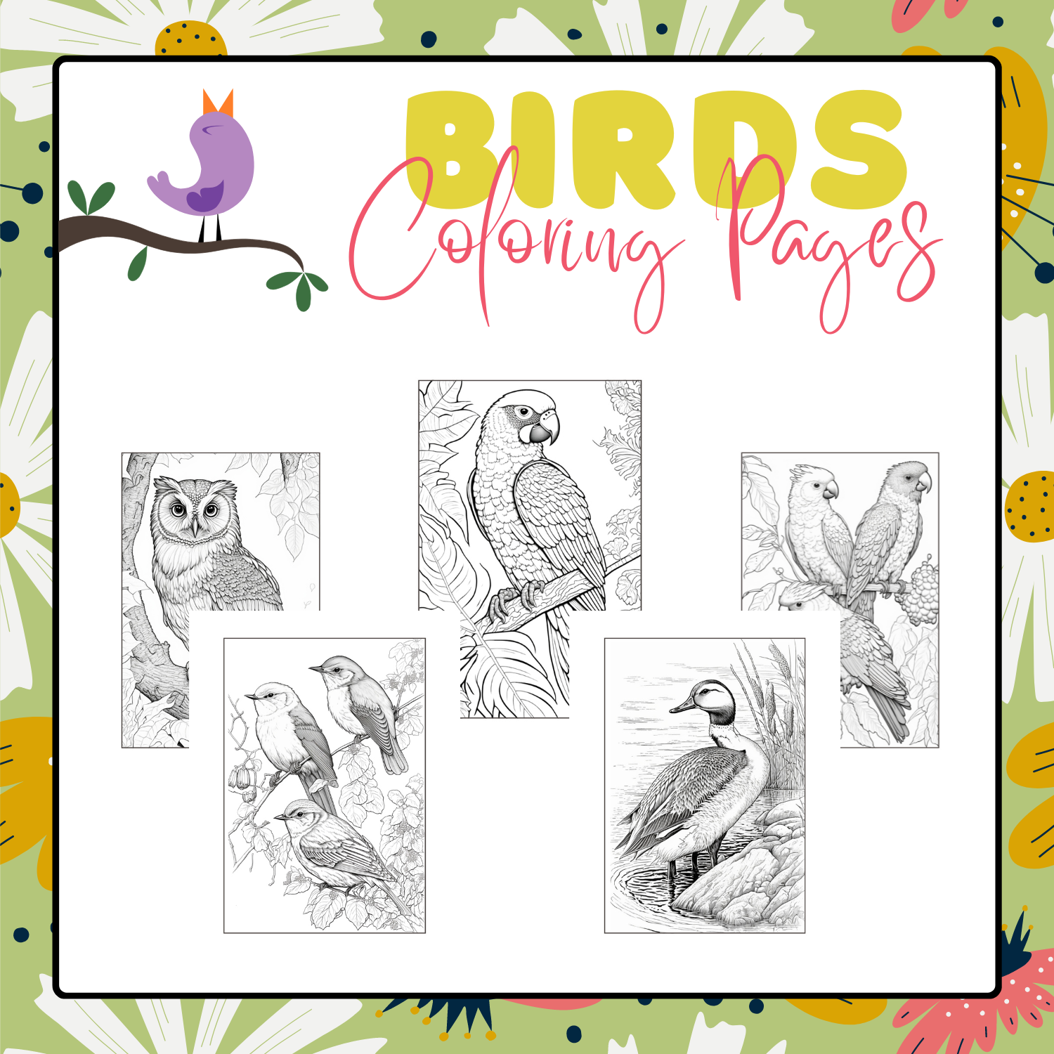 Birds coloring pages spring time activities made by teachers