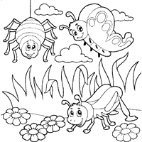 Three summer bugs coloring pages