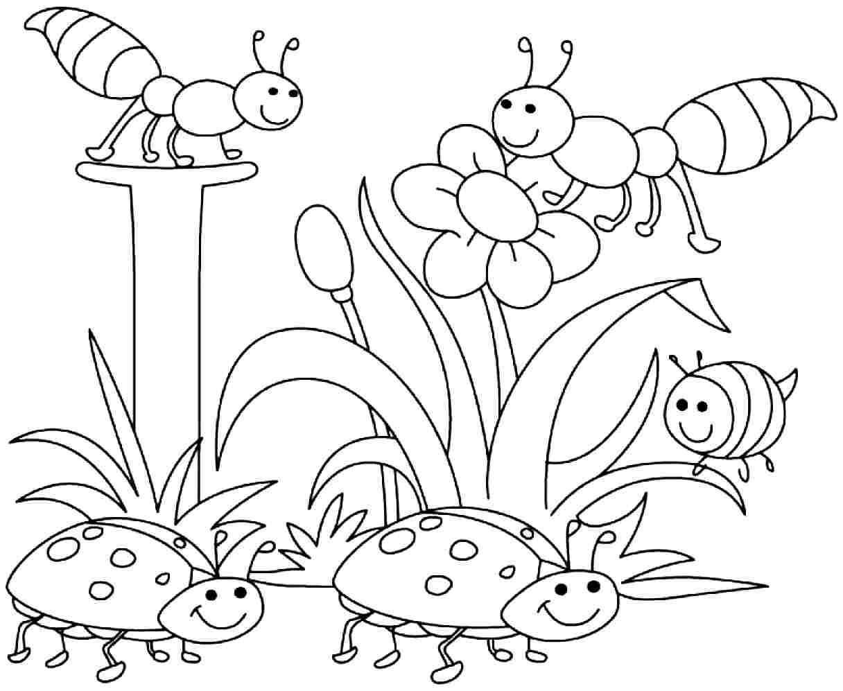 Spring bugs coloring pages coloring pages easy coloring pages summer coloring pages insect coloring pages