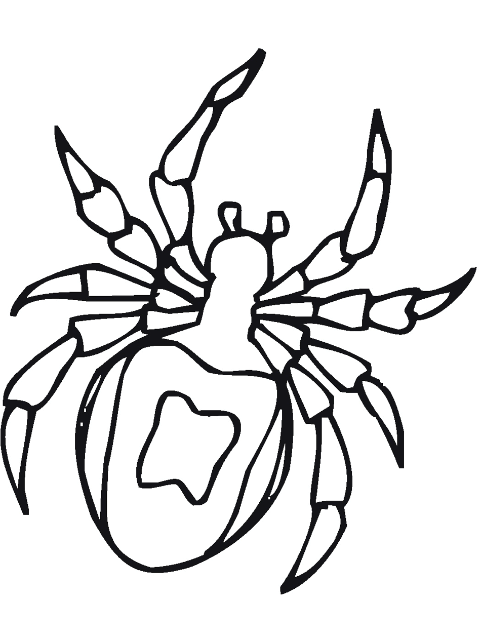 Bug insect coloring pages