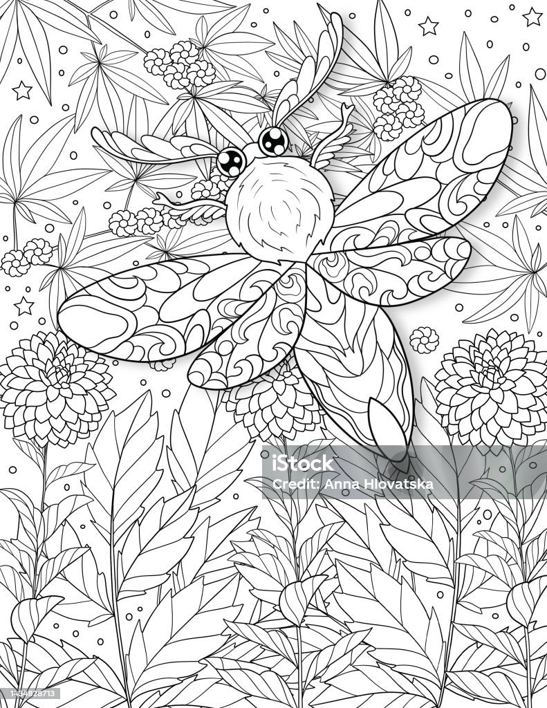 Bugs insects coloring book flower coloring book stock illustration