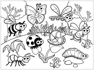 Insects for children