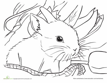 Delightful spring bunny coloring page