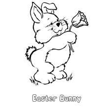 Rabbit and spring flower coloring pages