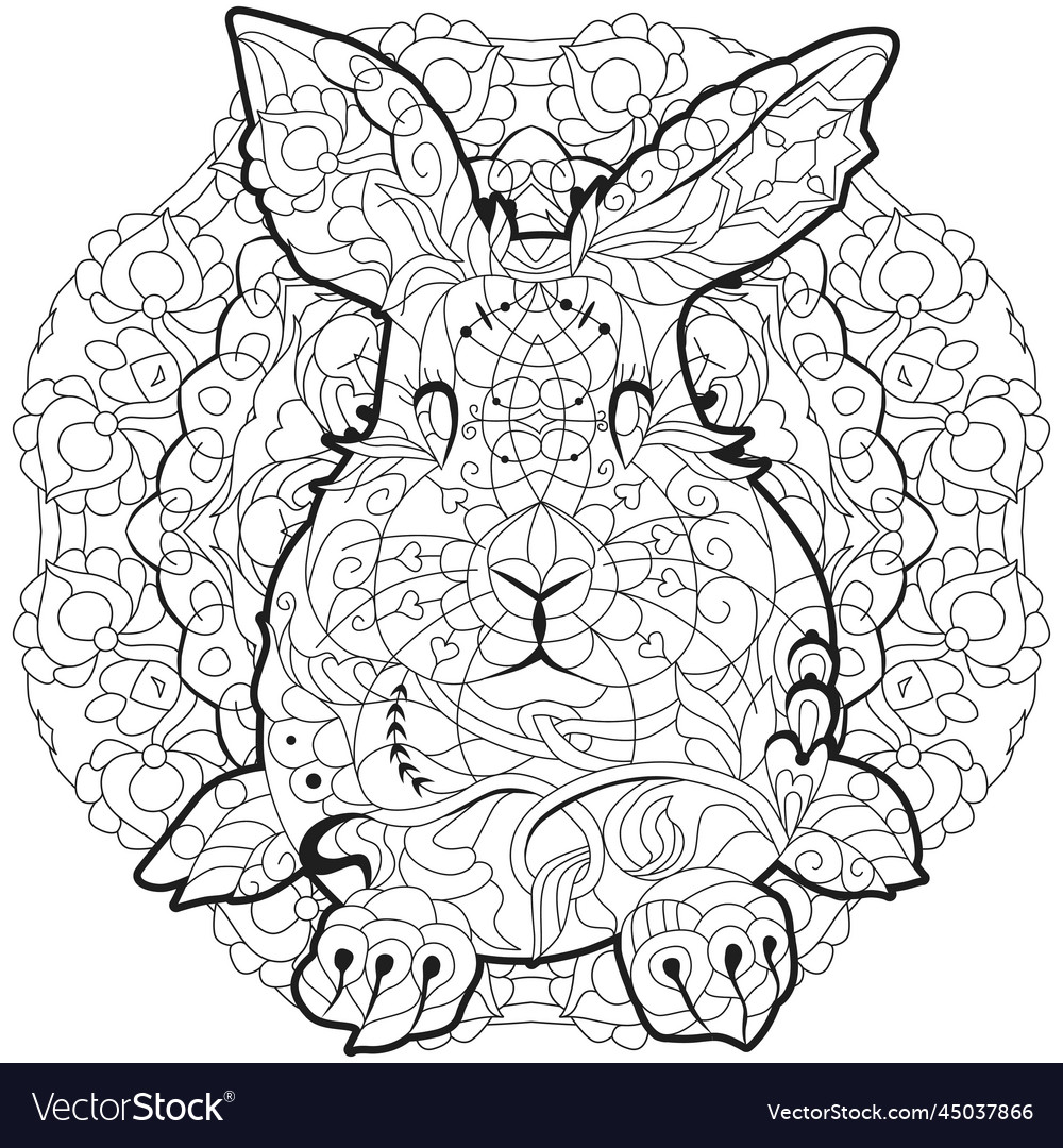 Spring rabbit on mandala coloring page for adult vector image