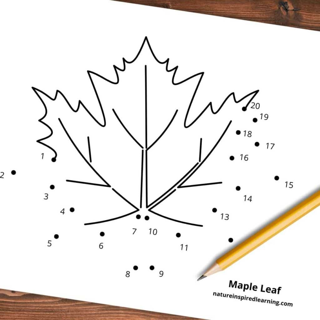 Free dot to dot worksheets