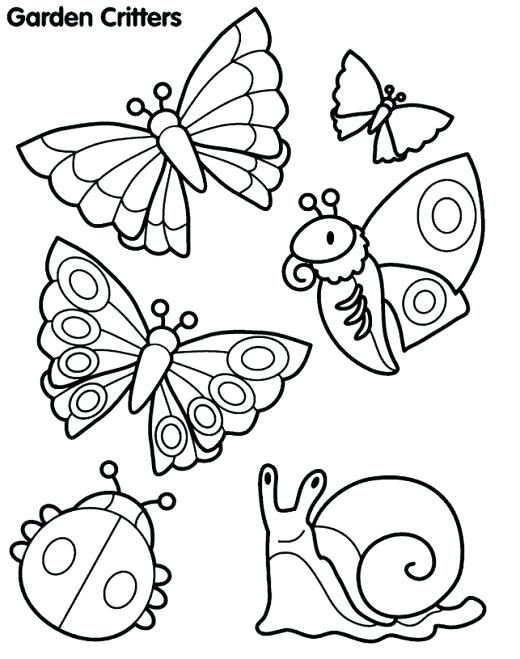 Insect coloring pages