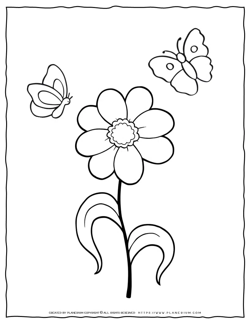Flower coloring page