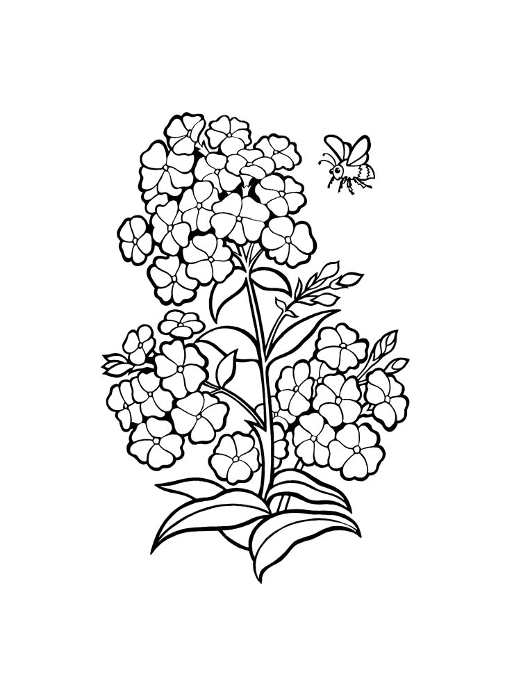 Spring flowers coloring page