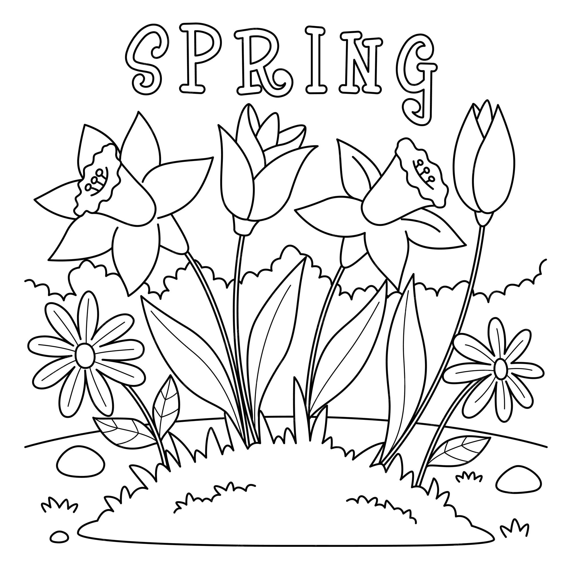 Premium vector spring tulip flowers coloring page for kids