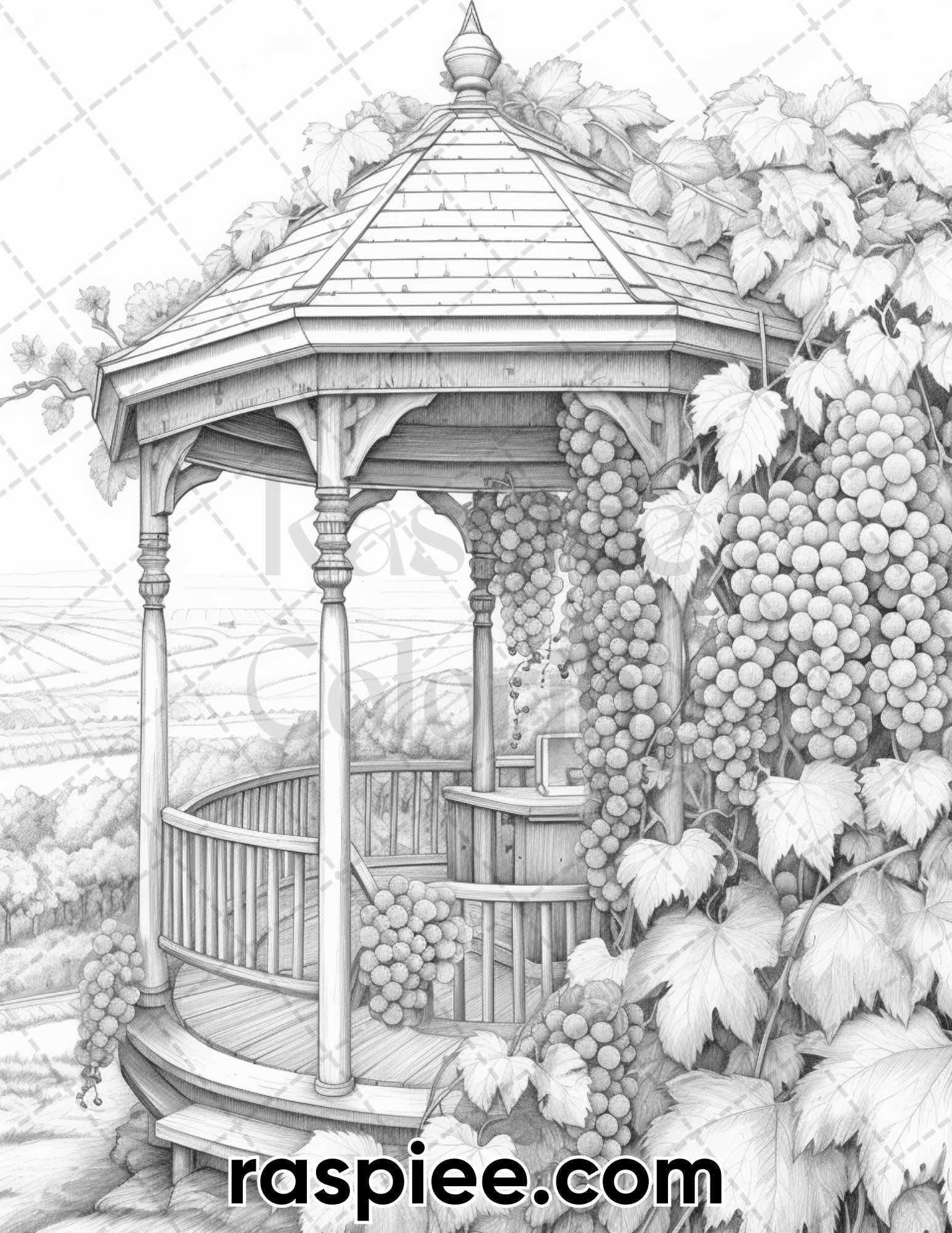 Spring vineyard grayscale adult coloring pages printable pdf insta â coloring