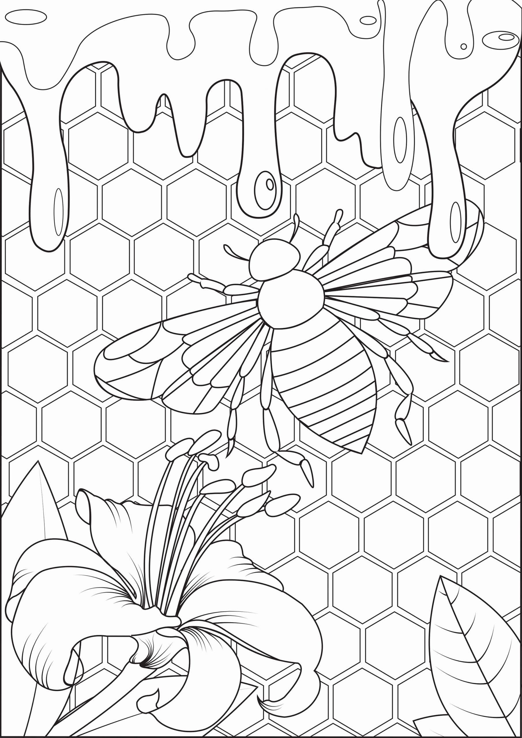 Spring coloring pages for adults