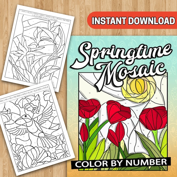 Best value springtime mosaic color by number instant download coloring book w flowers spring scenes geometric hidden pictures