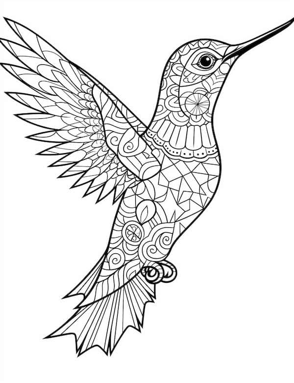 Bird coloring pages for kids and adults