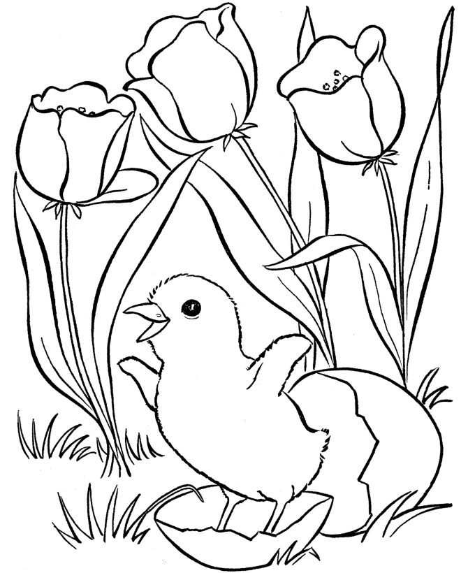 Spring coloring pages