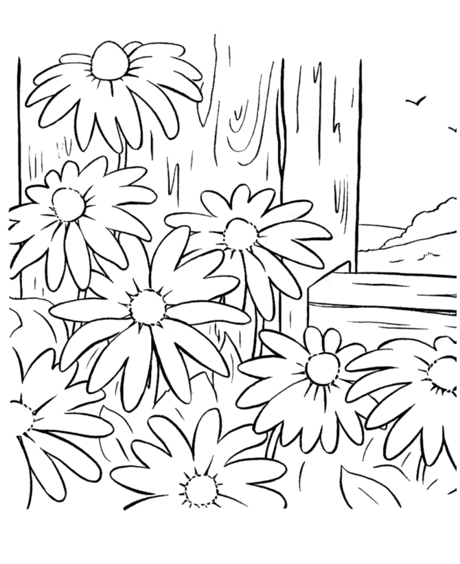 Spring scenes coloring page
