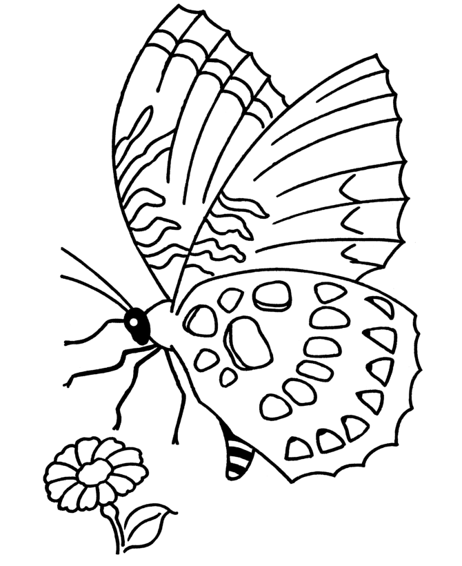 Spring scenes coloring page
