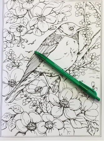 Creative haven spring scenes adult coloring book