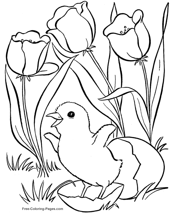 Spring coloring book pictures