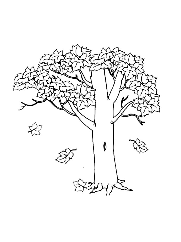 Free printable tree coloring pages for kids