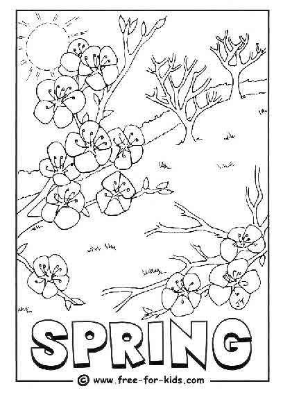 Spring coloring pictures spring coloring sheets spring coloring pages spring pictures to color