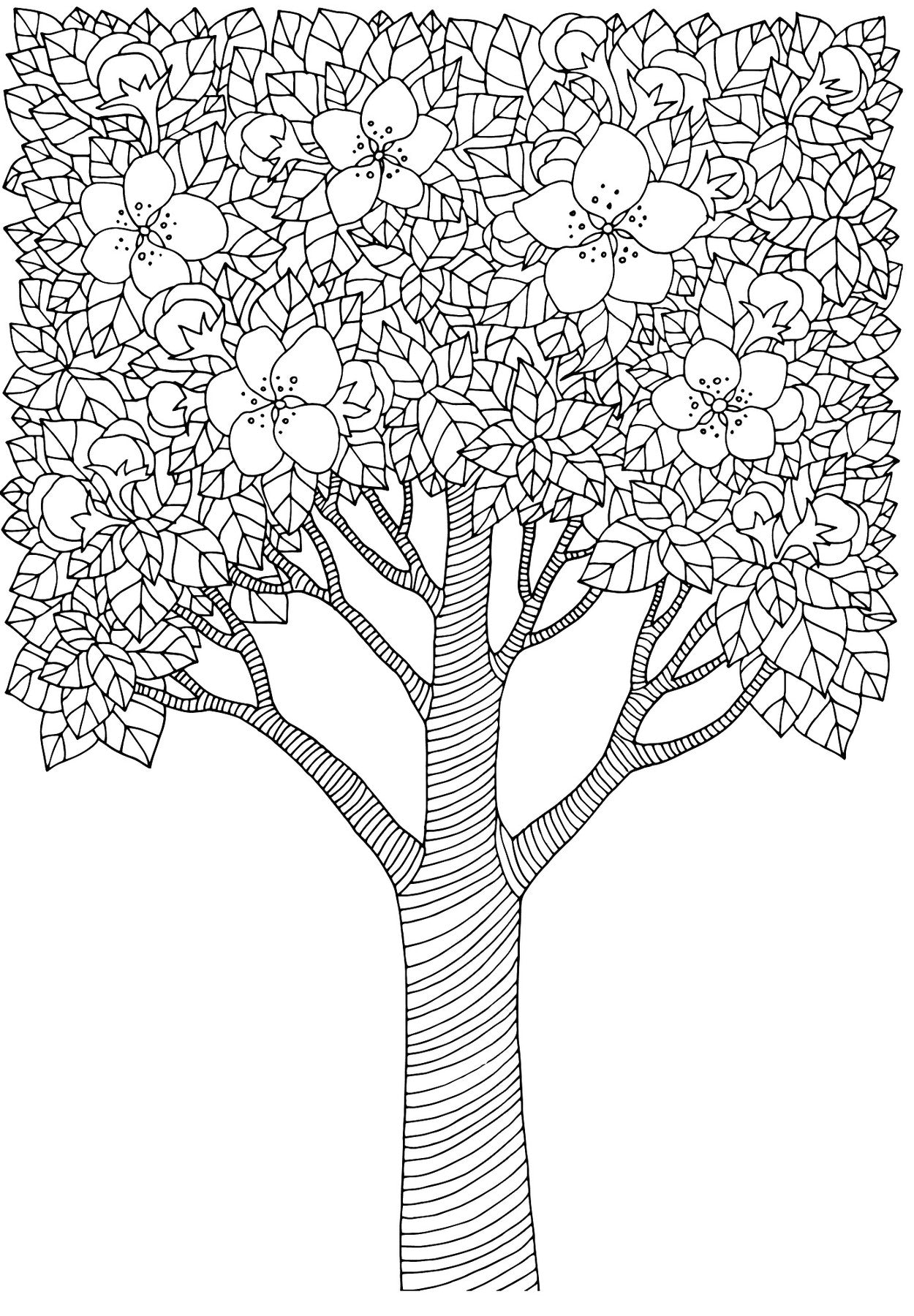 Blooming trees