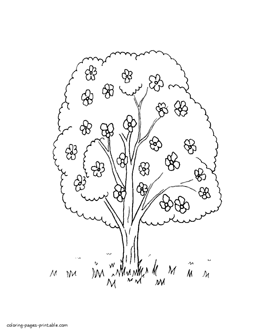 Spring nature coloring page blossom tree coloring