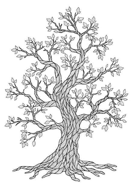 Premium vector beautiful tree drawing coloring page
