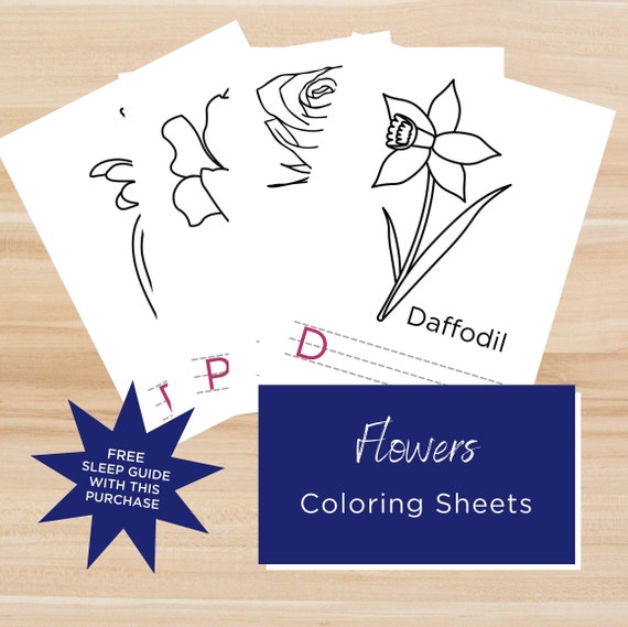 Flowers spelling writing reading spring summer coloring sheets instant download