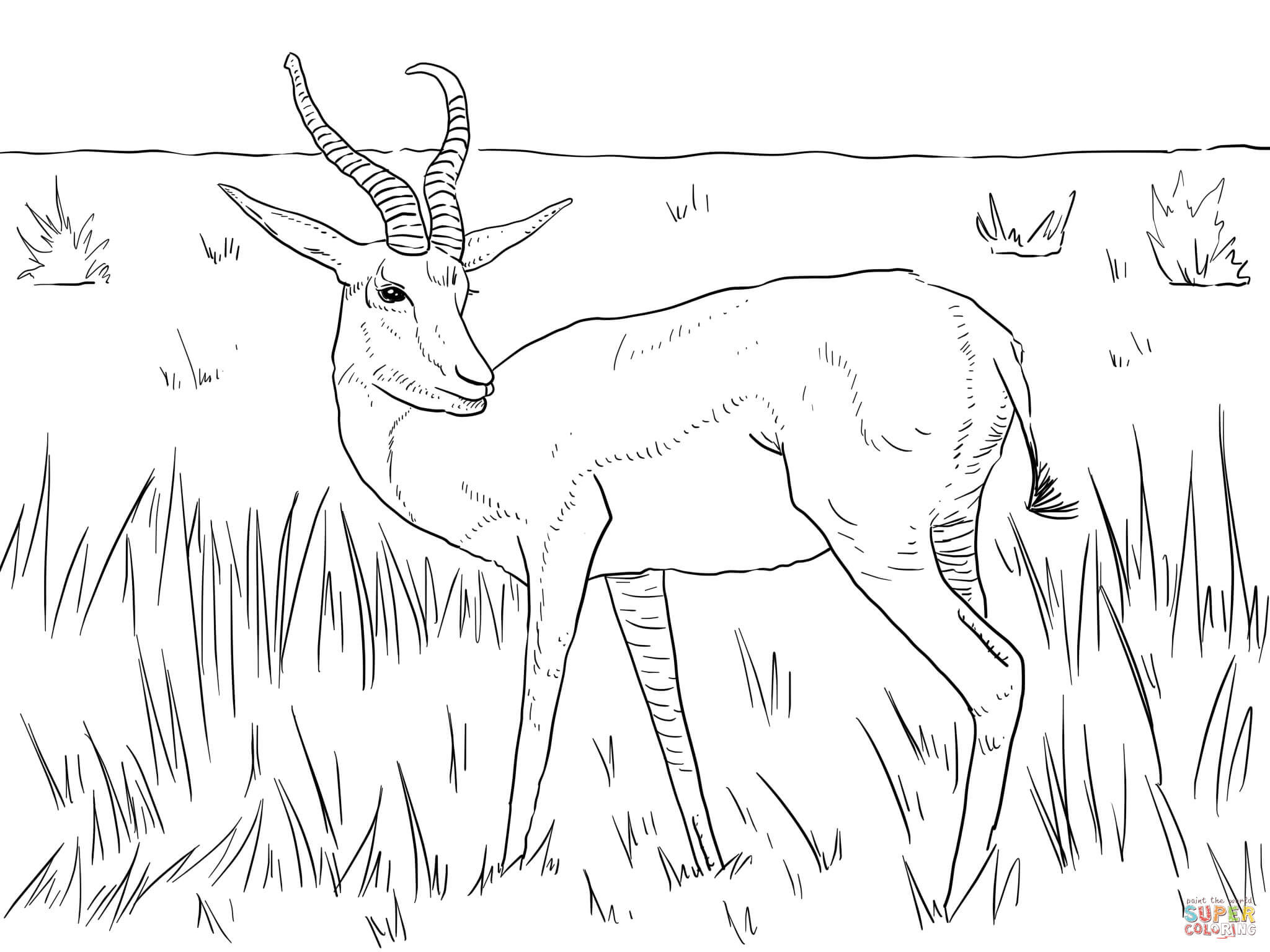 Realistic springbok coloring page free printable coloring pages