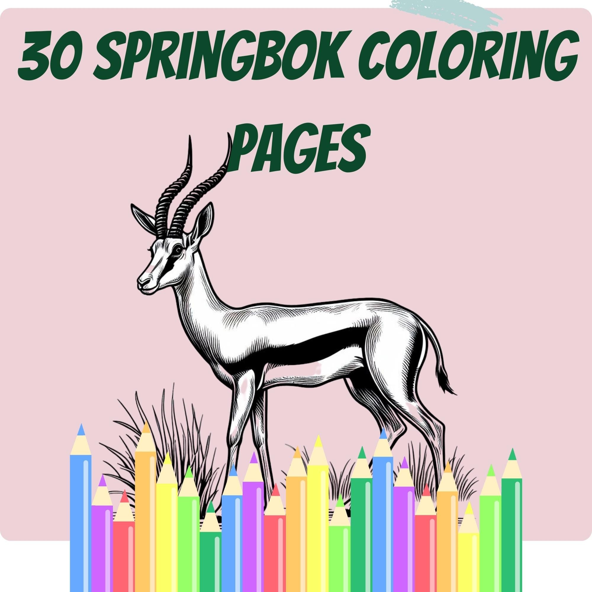 Springbok coloring pages pdf for kids and adults world cup activity instant download springbok images springbok coloring pages a instant download