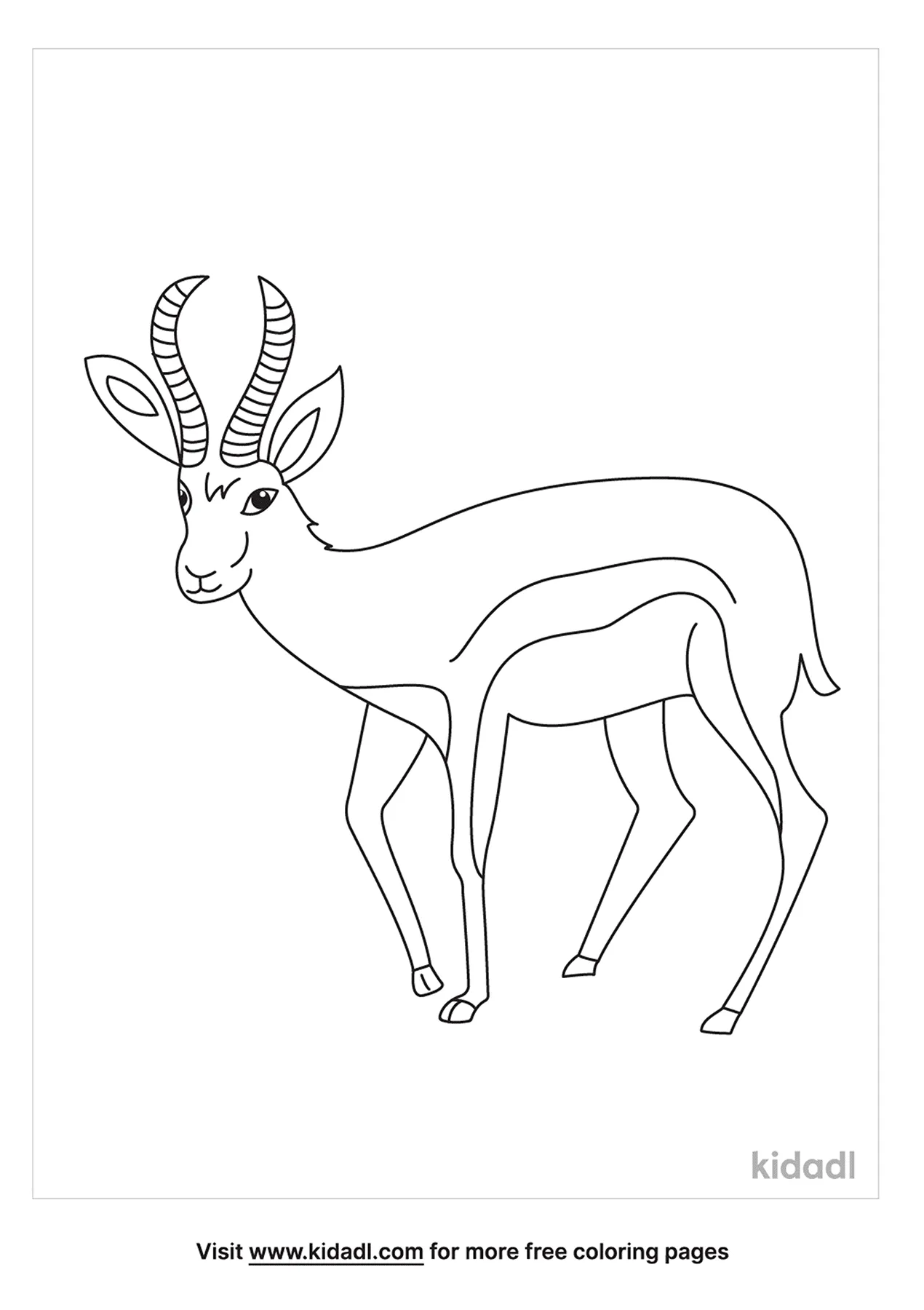 Free springbok coloring page coloring page printables