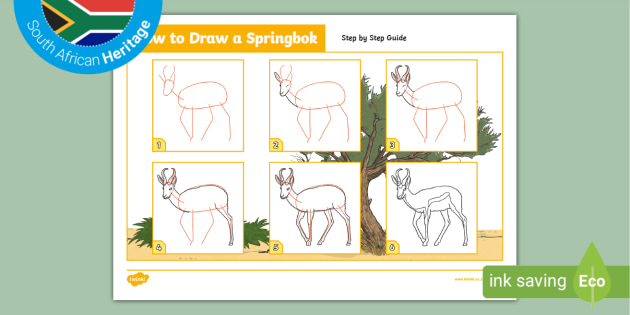 How to draw a springbok teacher made