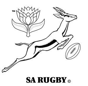 Springbok rugby south africa