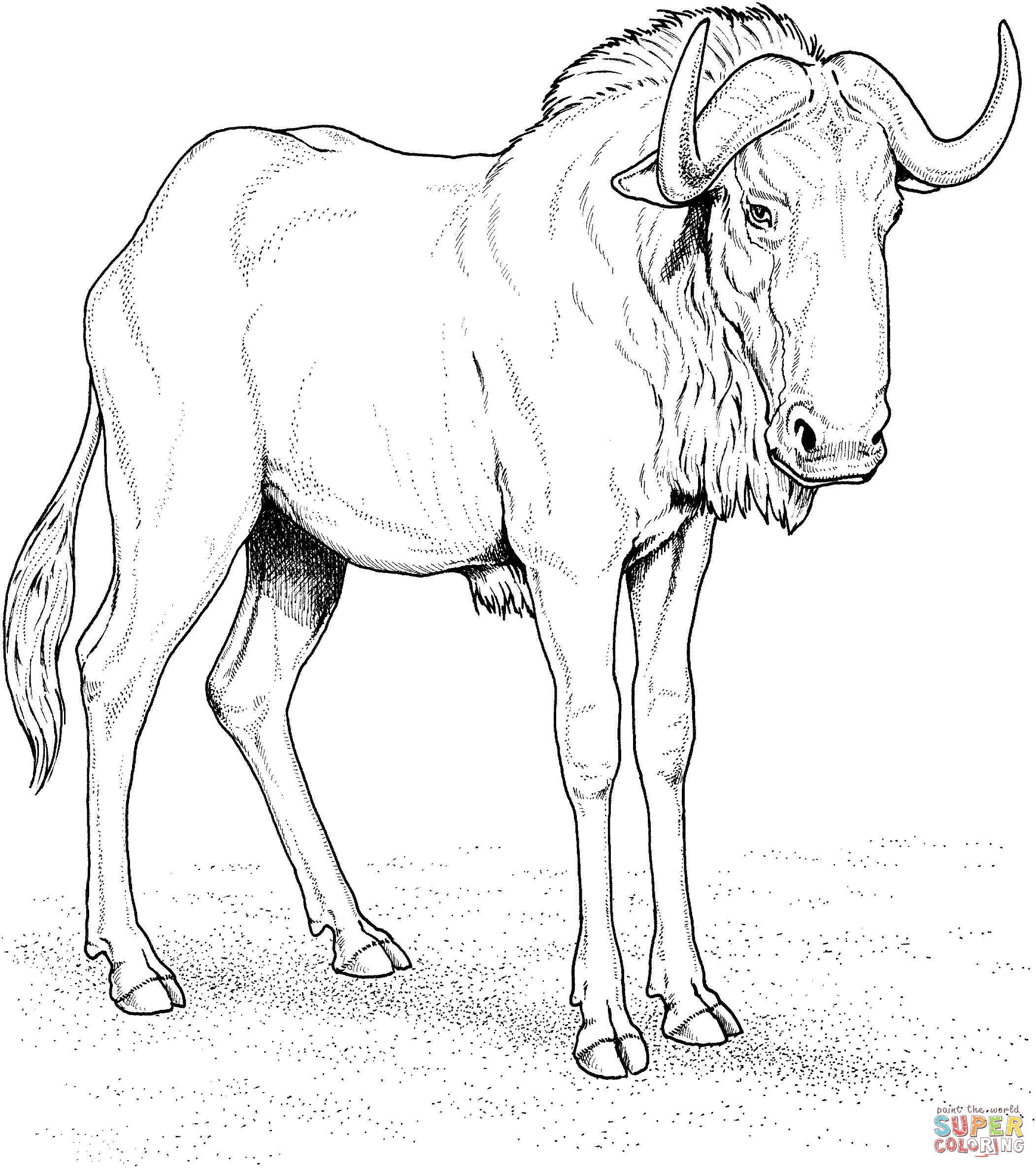 Blue wildebeest gnu coloring page free printable coloring pages