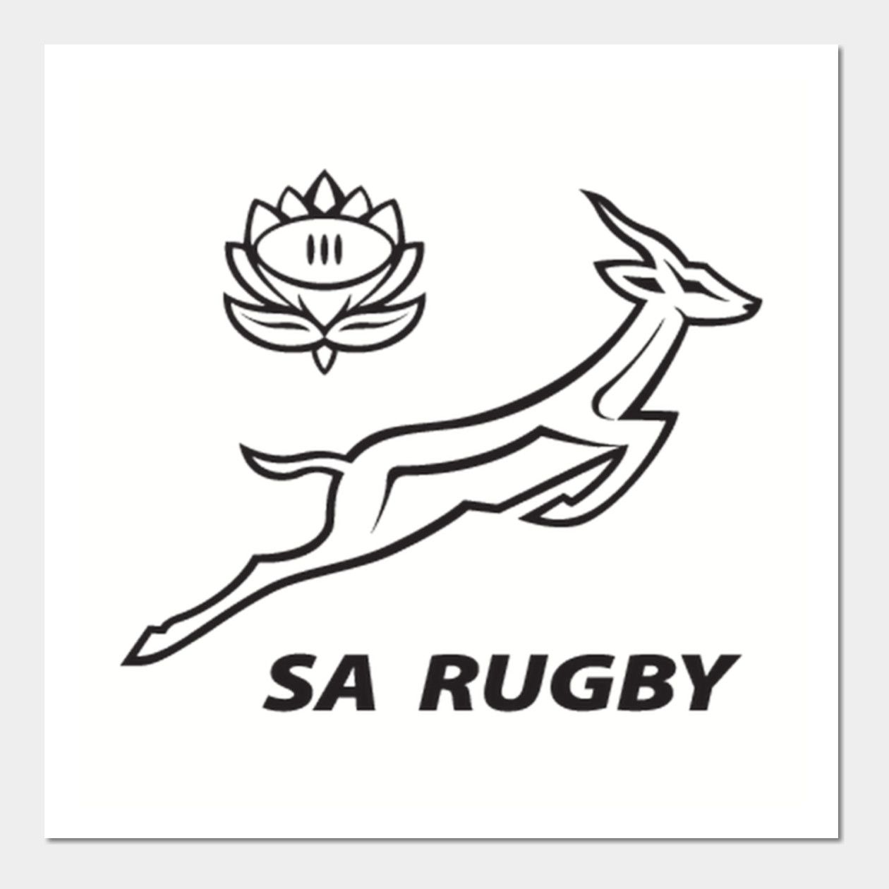 Sa rugby by cheebies rugby drawing rugby springbok rugby