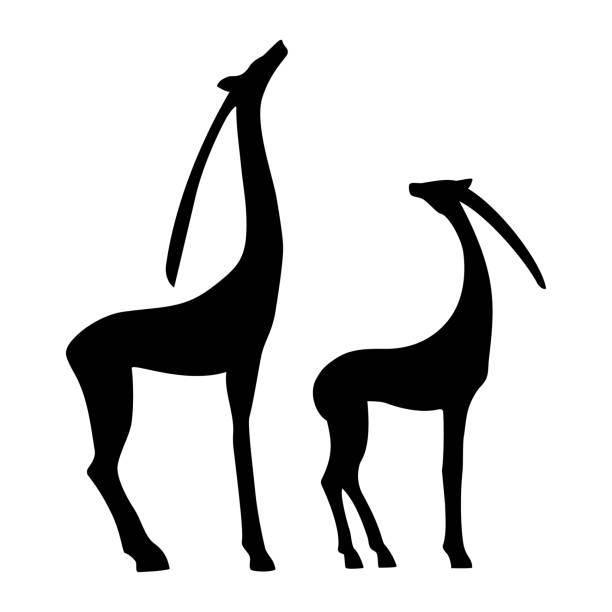 Springbok drawings stock illustrations royalty