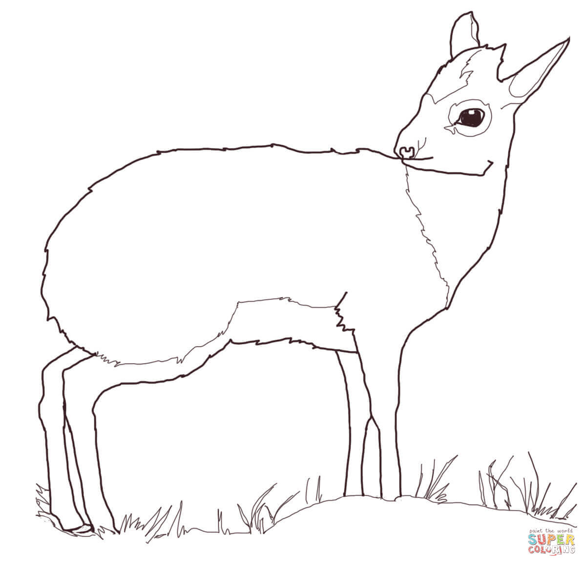 Dik dik antelope coloring page free printable coloring pages