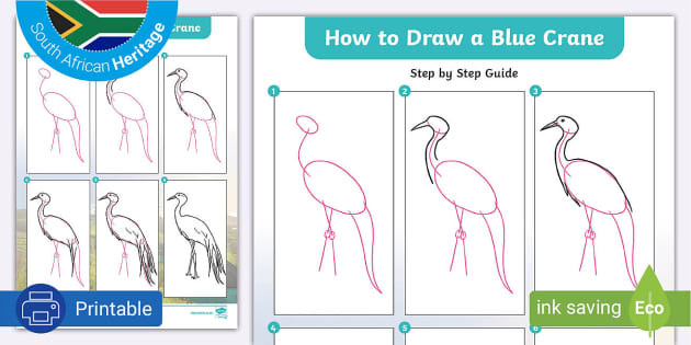 How to draw a springbok teacher made