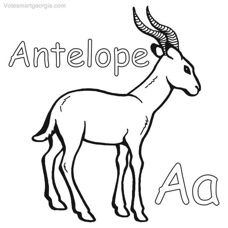 Antelope coloring pages pdf to print
