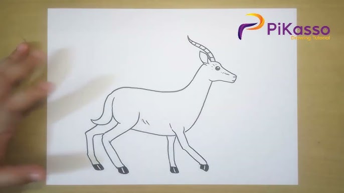 Springbok drawing how to draw springbok antelope drawing step by step drawing tutorials art