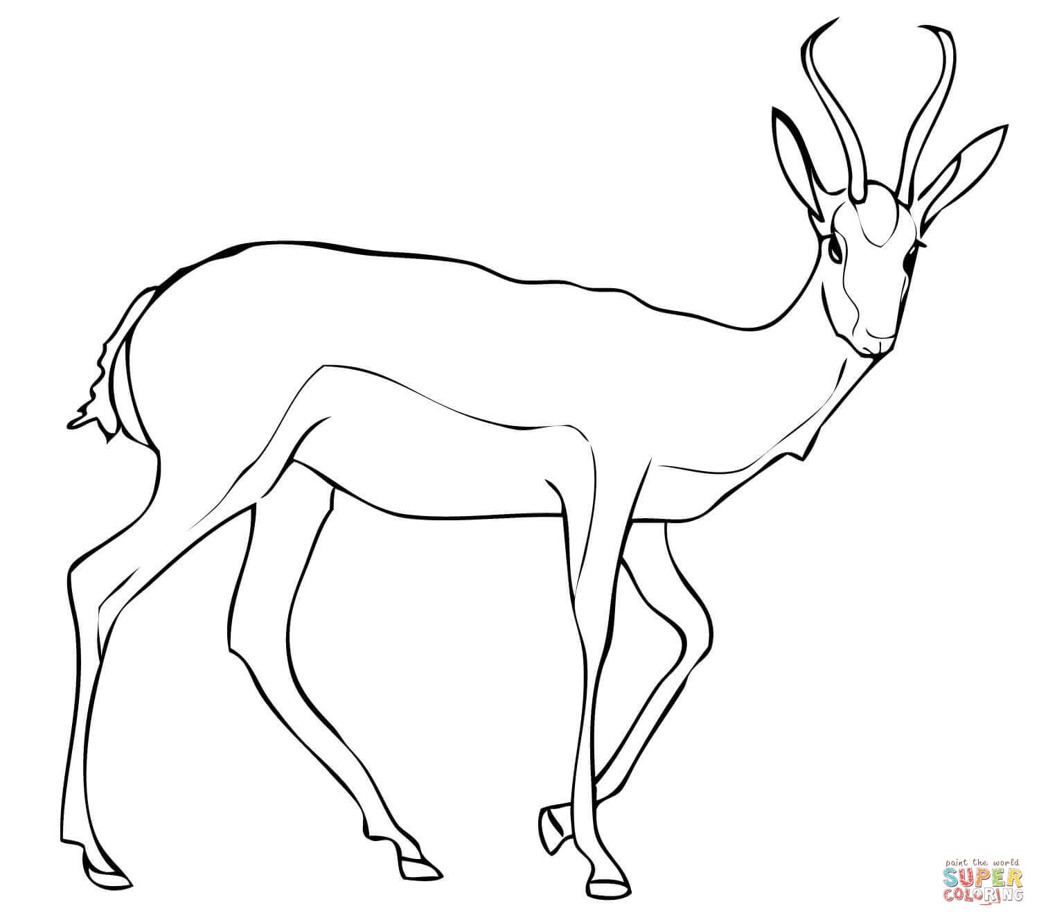 Springbok antelope coloring page free printable coloring pages