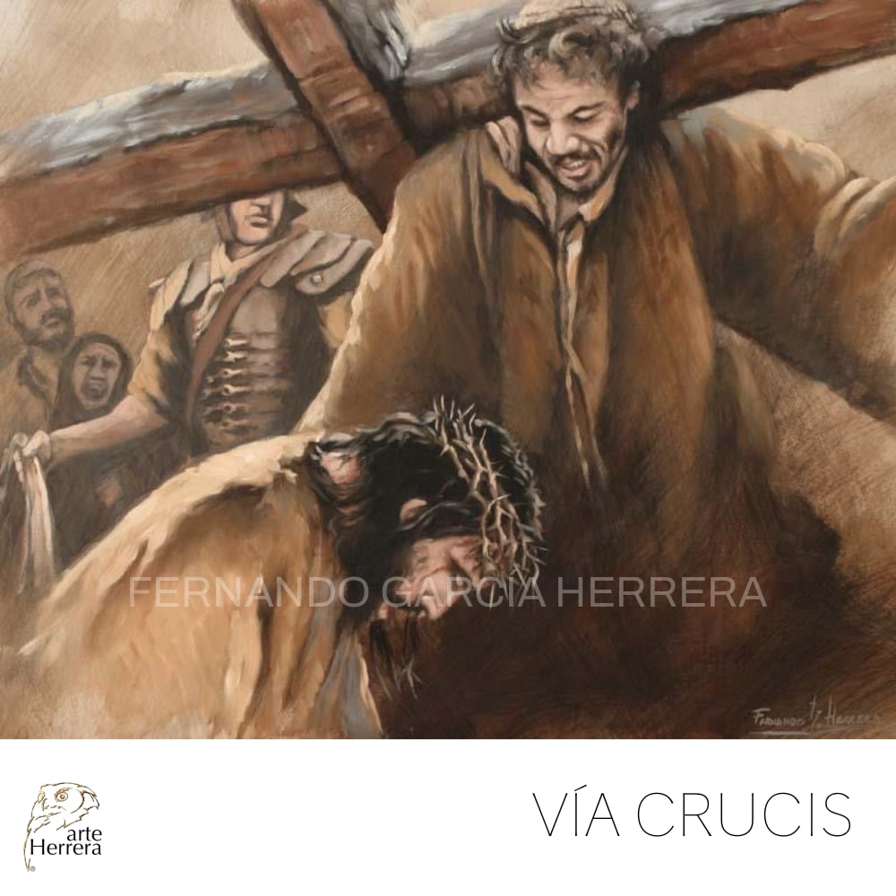 Vãa crucis book