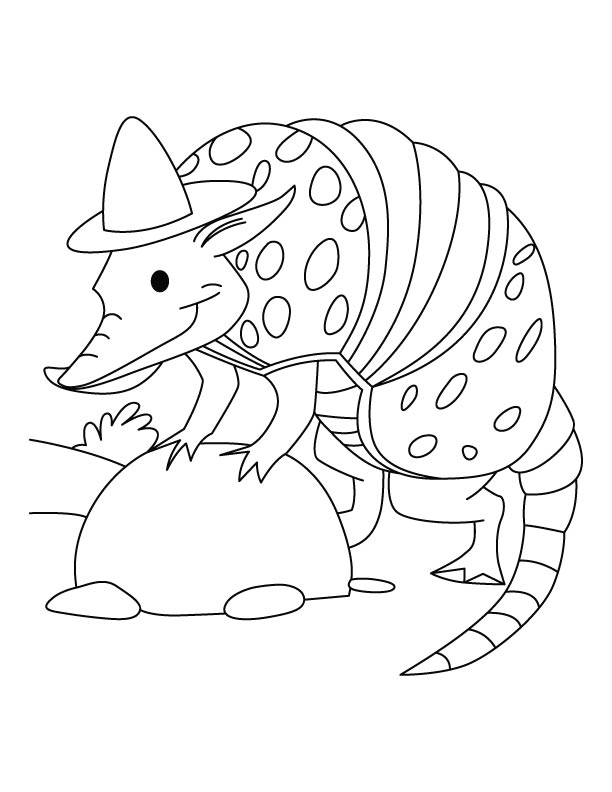 Armadillo