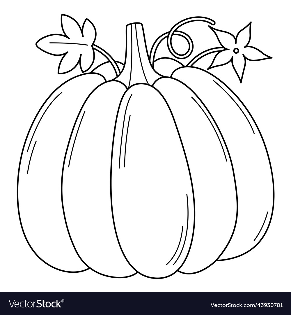 Pumpkin vegetable isolated coloring page for kids vector image