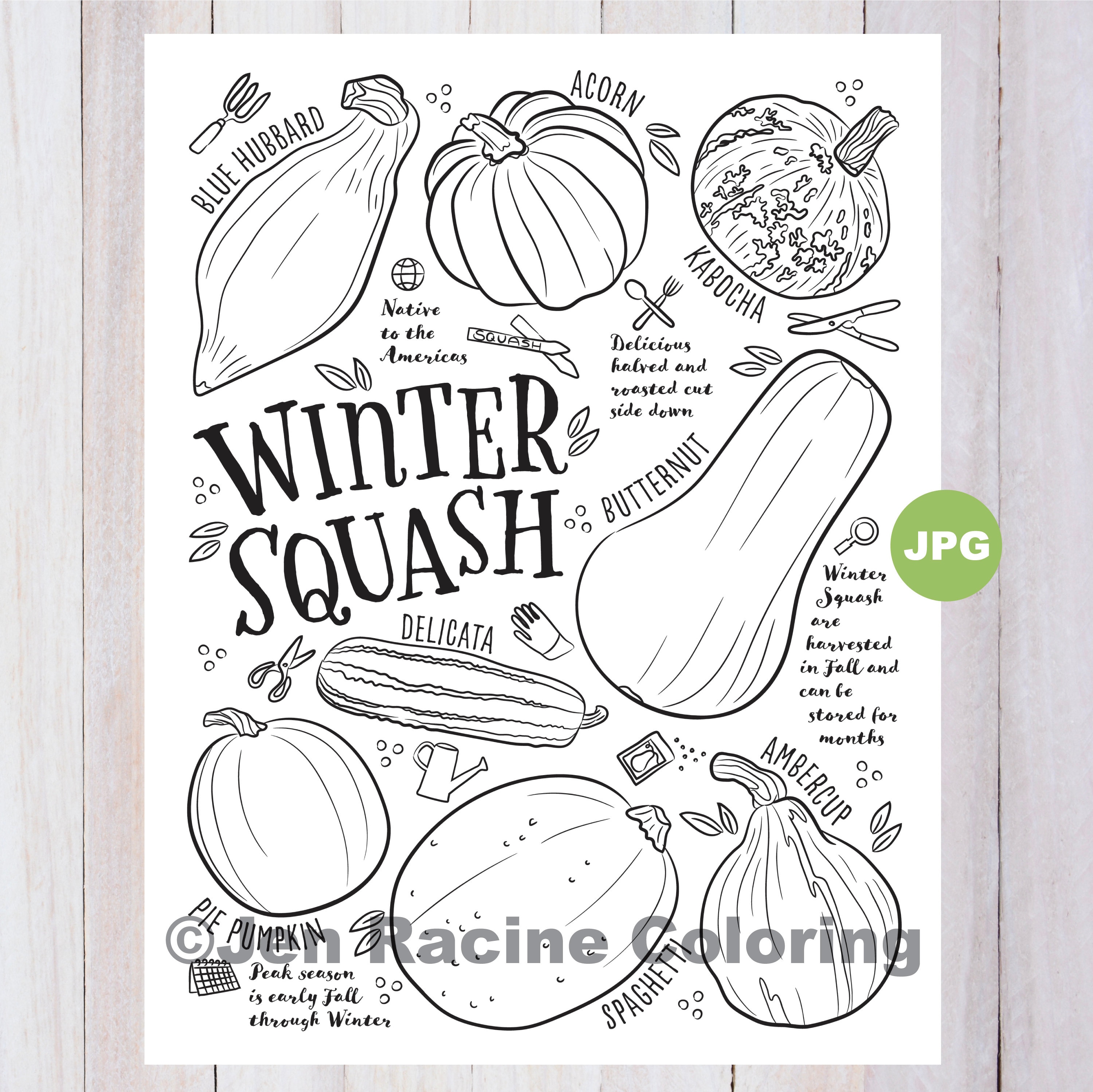 Squash coloring page winter squash vegetable coloring page garden gardening homegrown vegetable coloring pages