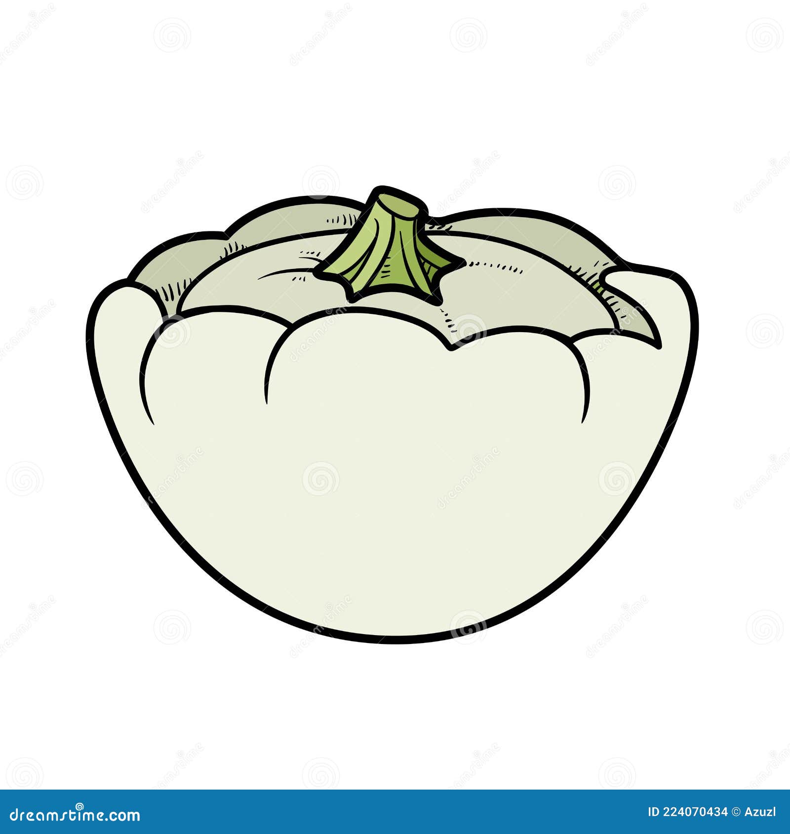 Squash color variation for coloring page isolated on white stock vector